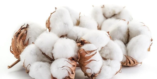 ITMF International Committee on Cotton Testing Methods (ICCTM)