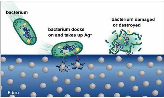 Bio-active Textiles - Bio-active Textiles, Bio-actives