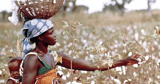 Zimbabwe, Brazil sign agreement on cotton production