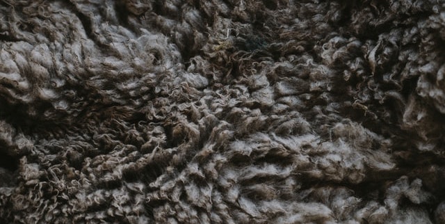 wool-black-img