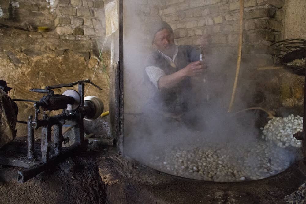 silk spinning in Iran