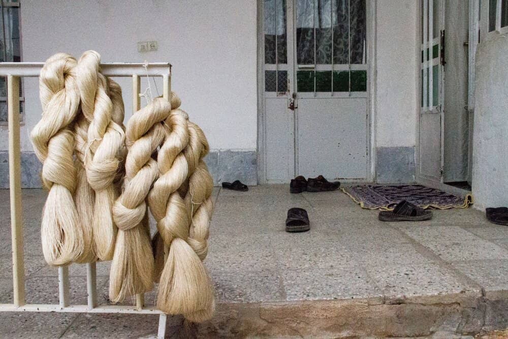 silk spinning in Iran