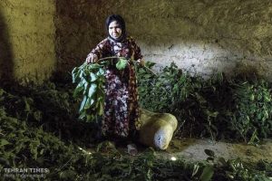 silk_weaving_Iran