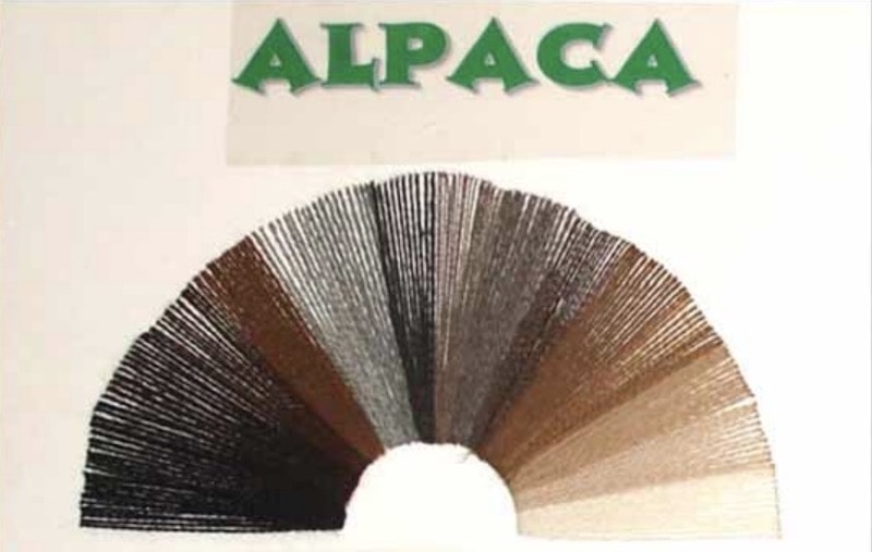 Alpaca fleece in 18 official natural colours