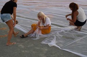 Longest Wedding Veil