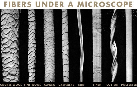alpaca fibers under microscope