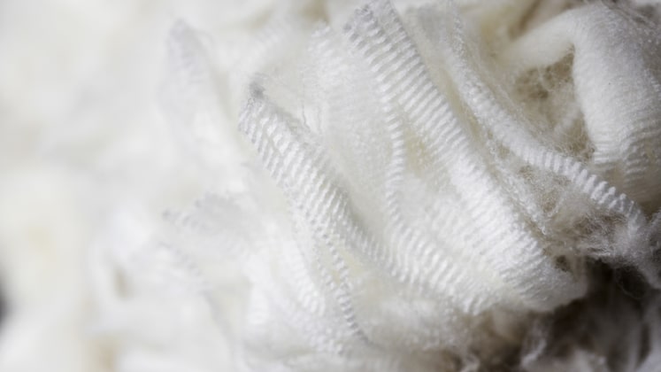 Merino-wool-fibre
