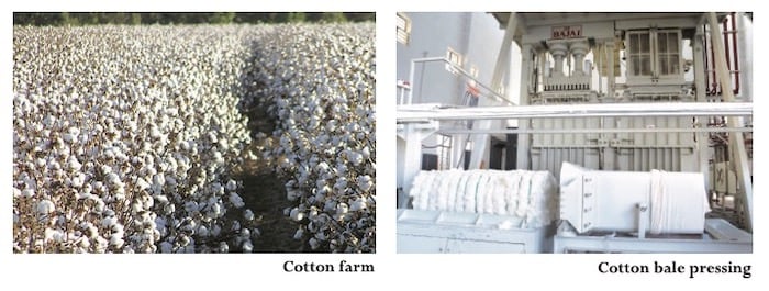 cotton-processing