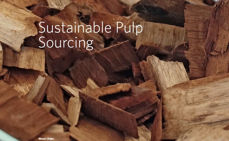 Asia-Pacific-Rayon-inaugural-sustainability-progress-report-wood-chips