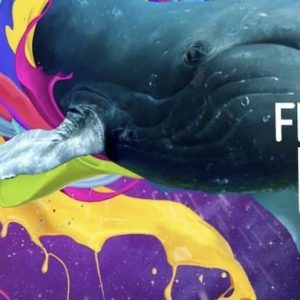 fespa-Mexico