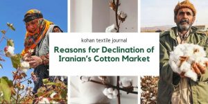 Reason for Declination of Iranian’s Cotton Market