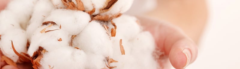 tepar-cotton-fibers-yarn-img