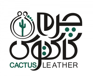 Top 10 producers of leather goods in Iran