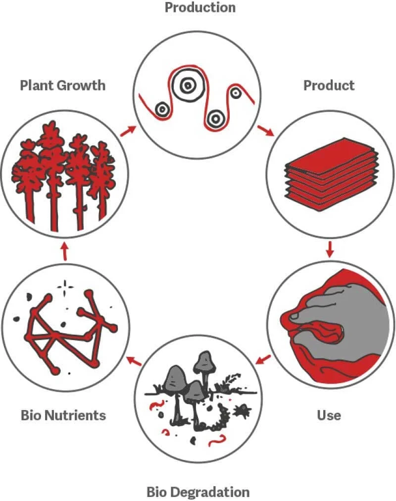 BFT: COMMITTED TO SUSTAINABILITY ON ALL FRONTS