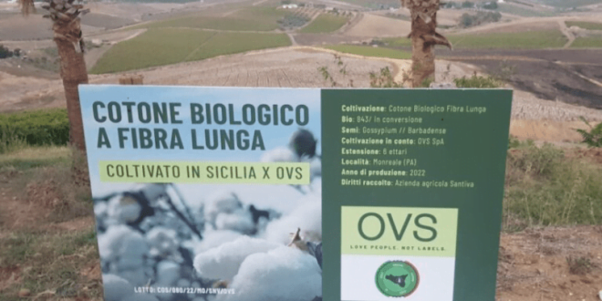 Haelixa and OVS partner on Italian traceable cotton