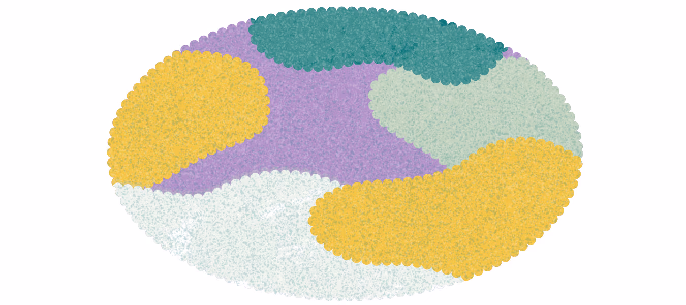 General-carpet-vector