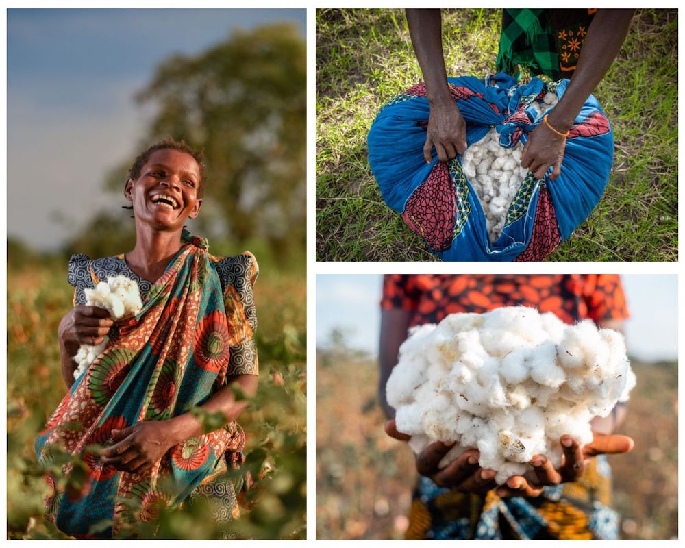 Aid by Trade Foundation african cotton