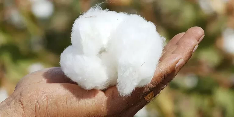 organic-cotton-certification