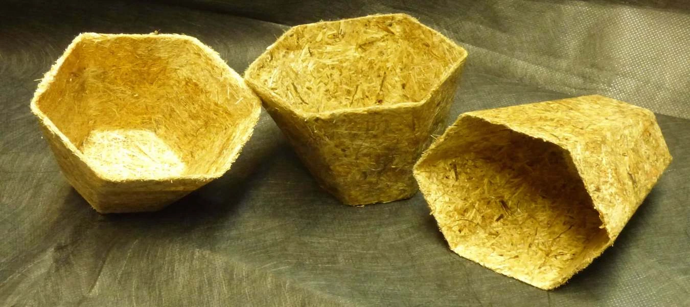 DITF and Fiber Engineering GmbH Water Hyacinth Plant Pots Middle