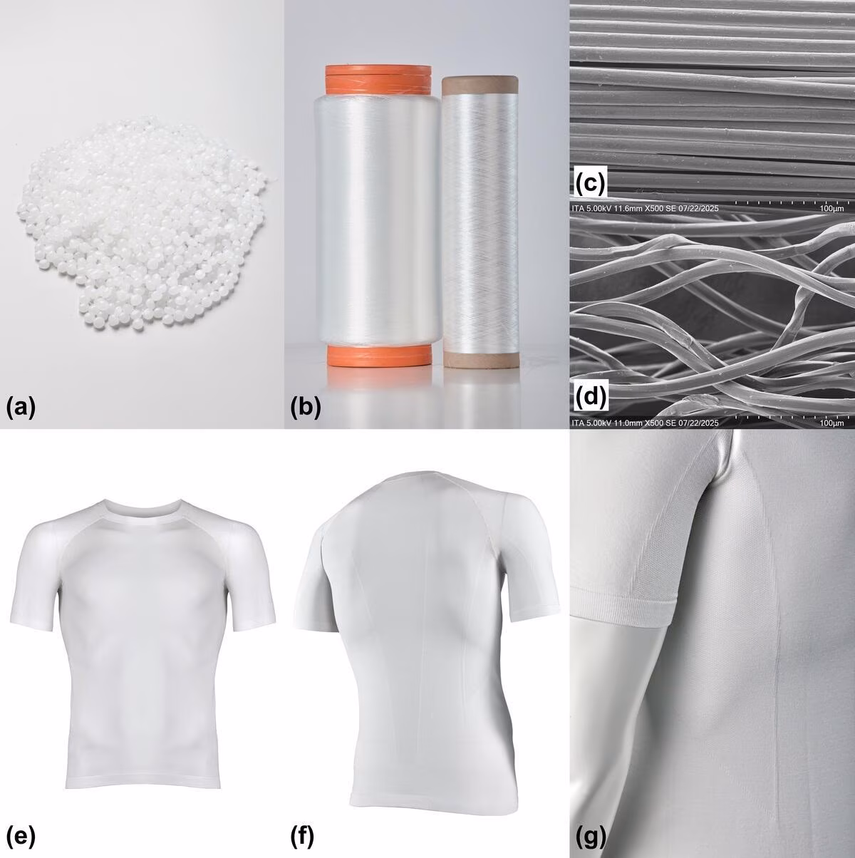 Wear Made from Bio-Based Polyethylene