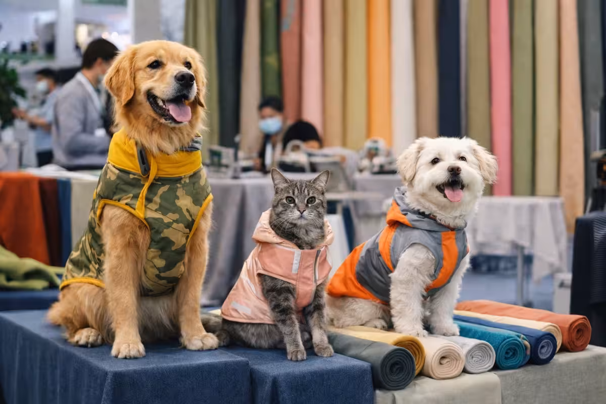 pet fashion
