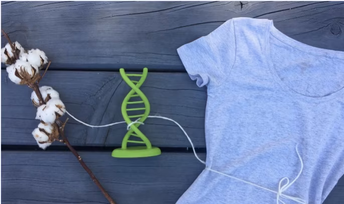 Bringing traceability into production: Haelixa