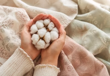 Trützschler Highlights Cotton Technologies for Premium Nonwovens Cotton nonwovens production using Trützschler spunlace technology