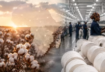 Africa’s Cotton Industry Holds Key to Millions of Textile Jobs, Experts Say African cotton field alongside a modern textile factory with workers and yarn, representing the cotton industry’s role in creating millions of textile jobs.