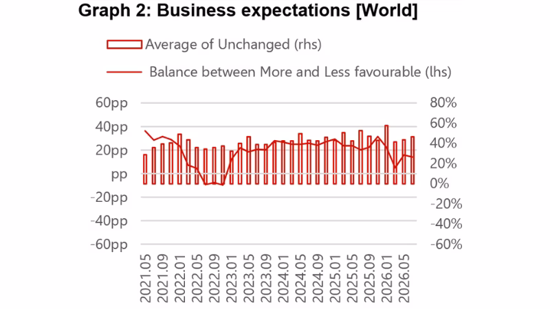 Graph 2: Business expectations [World