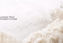 Australian Wool Prices Extend Rally as Tight Supply Fuels Buyer Competition Australian Merino wool market as wool prices rise amid tight supply and strong buyer demand