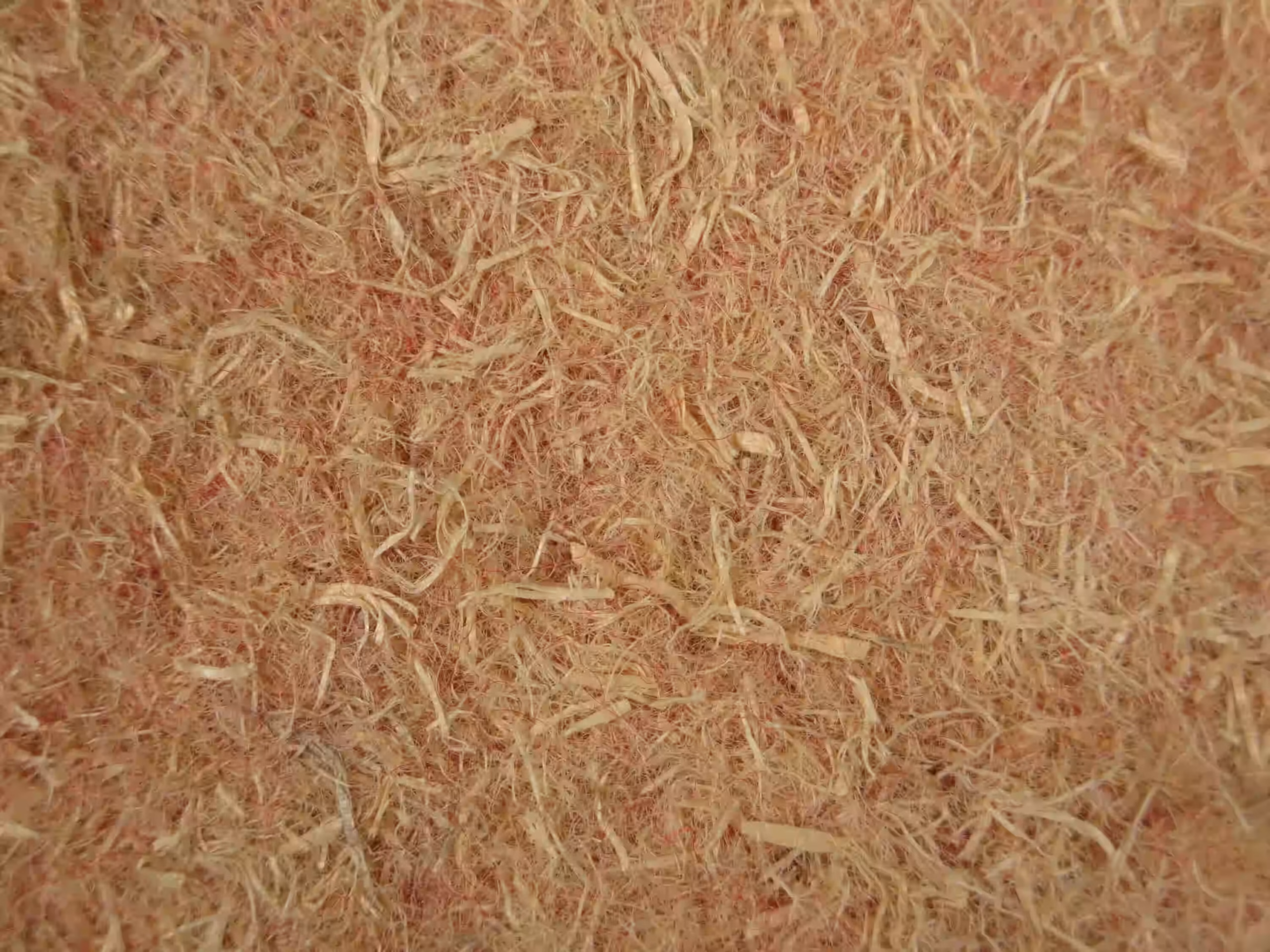 Wood-Fiber Insulation Board with CAP.